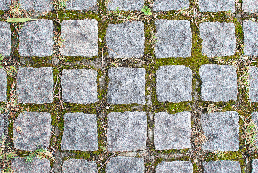 Obraz premium Paving stone texture