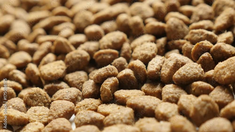 Shallow DOF pile of cat or dog pellet meal - Brown pet dry food close-up slow tilt Shallow DOF pile of cat or dog pellet meal - Brown pet dry food close-up slow tilt