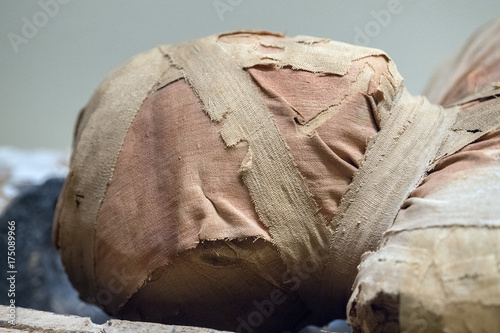 Fotografie, Obraz Egyptian mummy head close up detail of