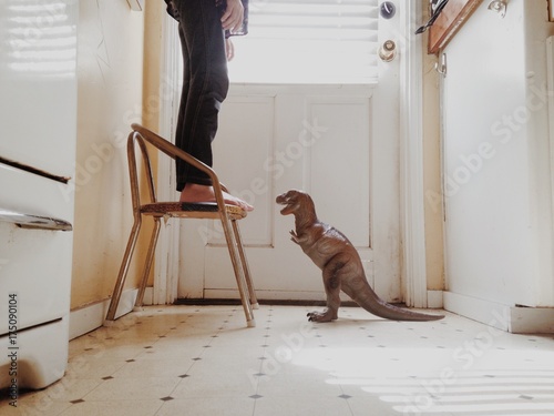 Child standing on chair with dinosaur photo