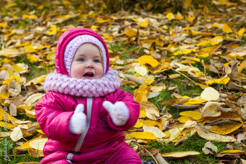 baby in a beautiful autumn forest walks and enjoys a good Sunny weather baby in a beautiful autumn forest walks and enjoys a good Sunny weather