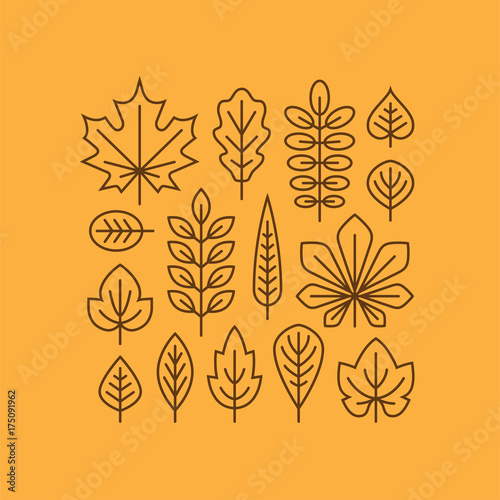 Autumn leaves line icons set.