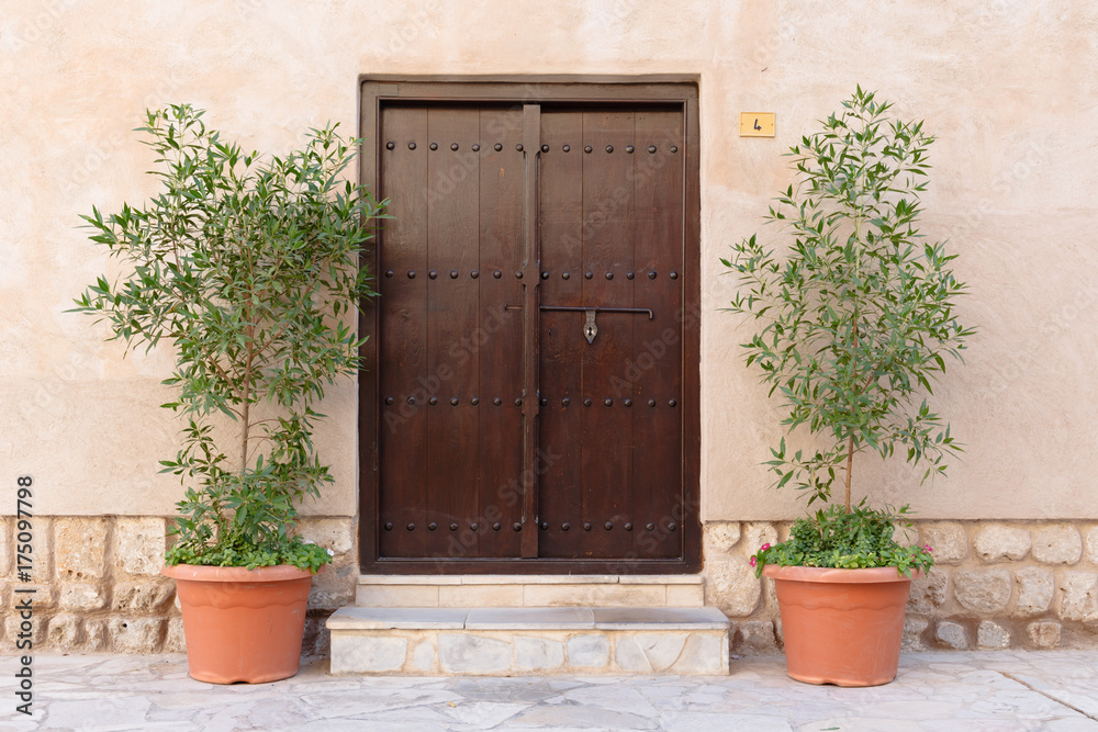 old wooden door