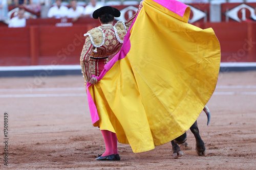Torero y toro en la plaza