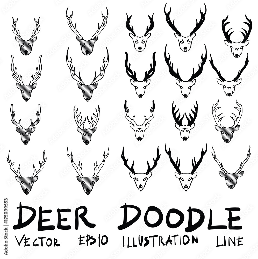 Hand drawn deer isolated. Vector sketch black and white background illustration icon doodle eps10