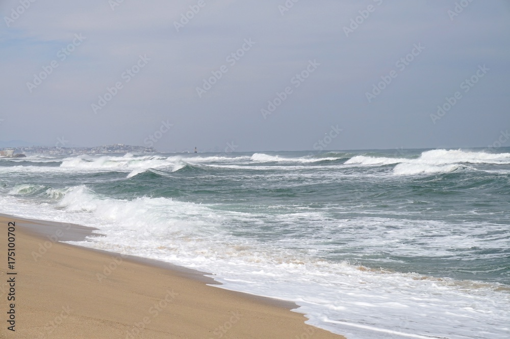 강릉 겨울 바다의 파도.(Waves of the Gangneung winter sea.) 강릉 겨울 바다의 파도.(Waves of the Gangneung winter sea.)