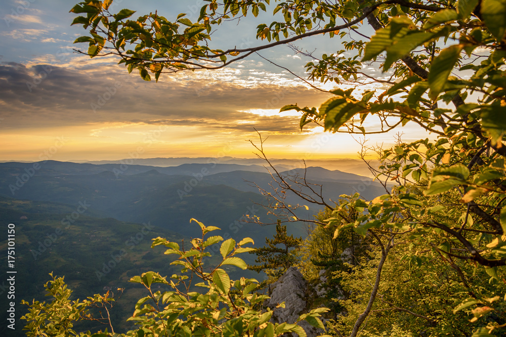Naklejka premium Colorful summer sunrise in the Tara mountains