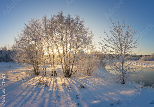 Заснеженный зимний лес кустами и елями на берегу ручья, Россия, Урал, январь