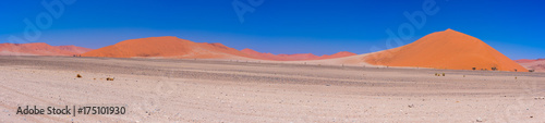Colorful sand dunes and scenic landscape in the Namib desert, Namib Naukluft National Park, tourist destination in Namibia. Travel adventures in Africa. High resolution panorama.