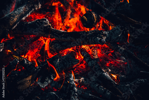 Fire, tourism, in the woods. Red fire, tonal correction