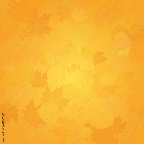 Abstract nature background. Scattered leaves. Autumn colors