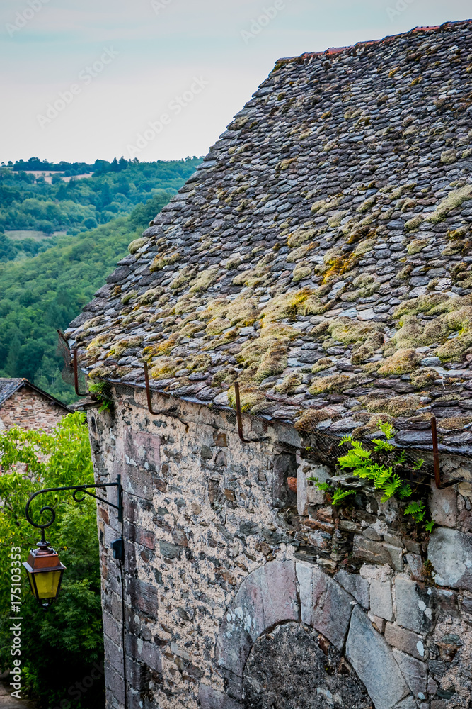 Toit de maison plein de mousse dans les rues de Najac Toit de maison plein de mousse dans les rues de Najac