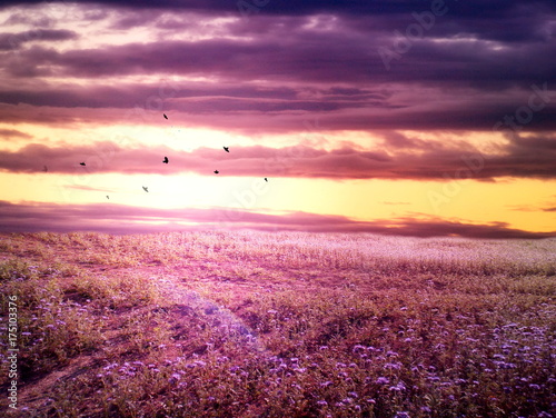 Romantic purple landscape