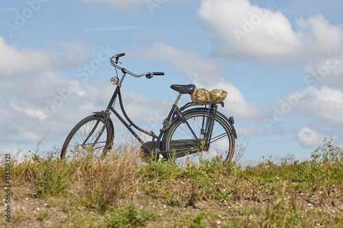Bicycle in the country