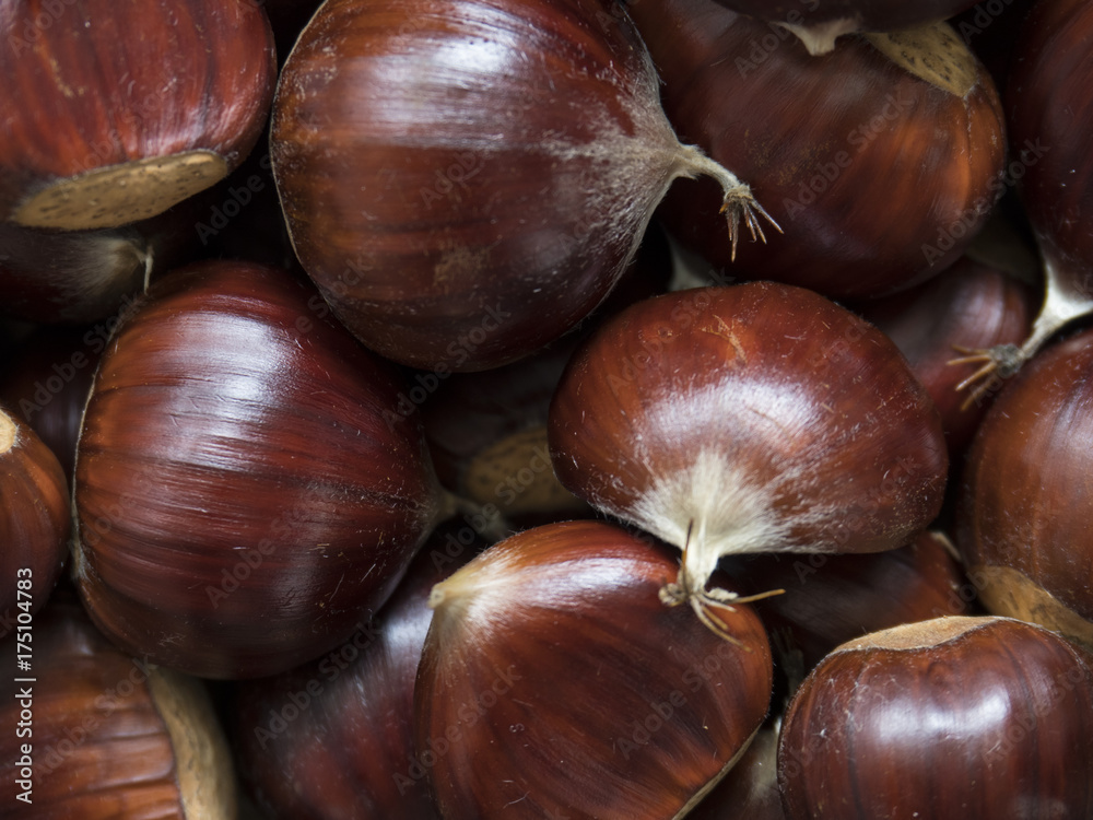 Obraz premium Marrons : fruit d'automne