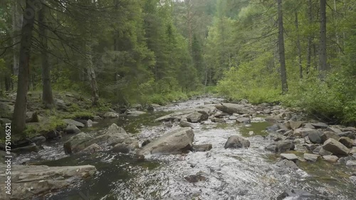 Landscape with forest and a river in front. Beautiful scenery. River in the forest photo