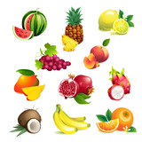 Set of Vector Illustration Icons tropical fruits with leaves and flowers