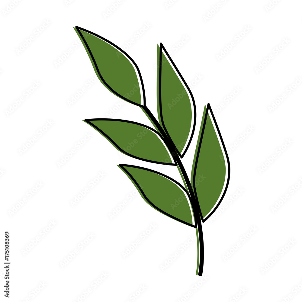 Obraz premium olive branch isolated icon