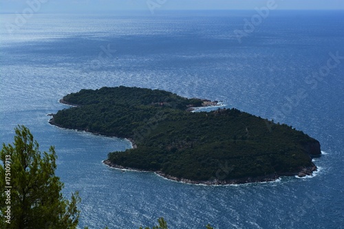 A forested island near Dubrovnik