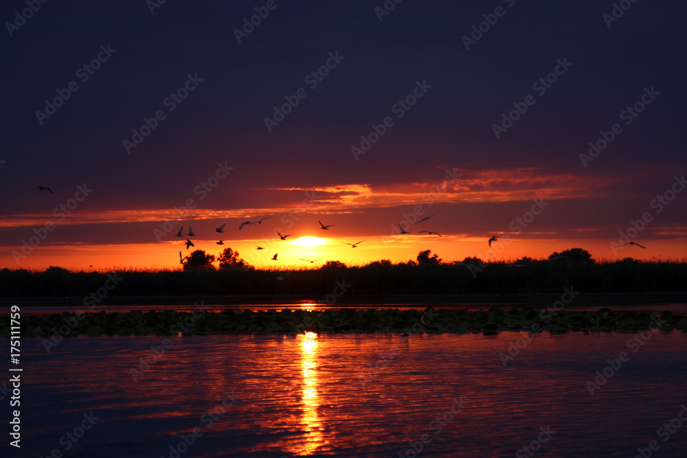 twilight: reflections of sunset in lake water, shadows in the dusk, birds silhouettes flying above the lake against sunset twilight: reflections of sunset in lake water, shadows in the dusk, birds silhouettes flying above the lake against sunset