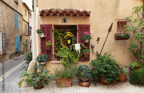 Facade of old French house and potted flowers