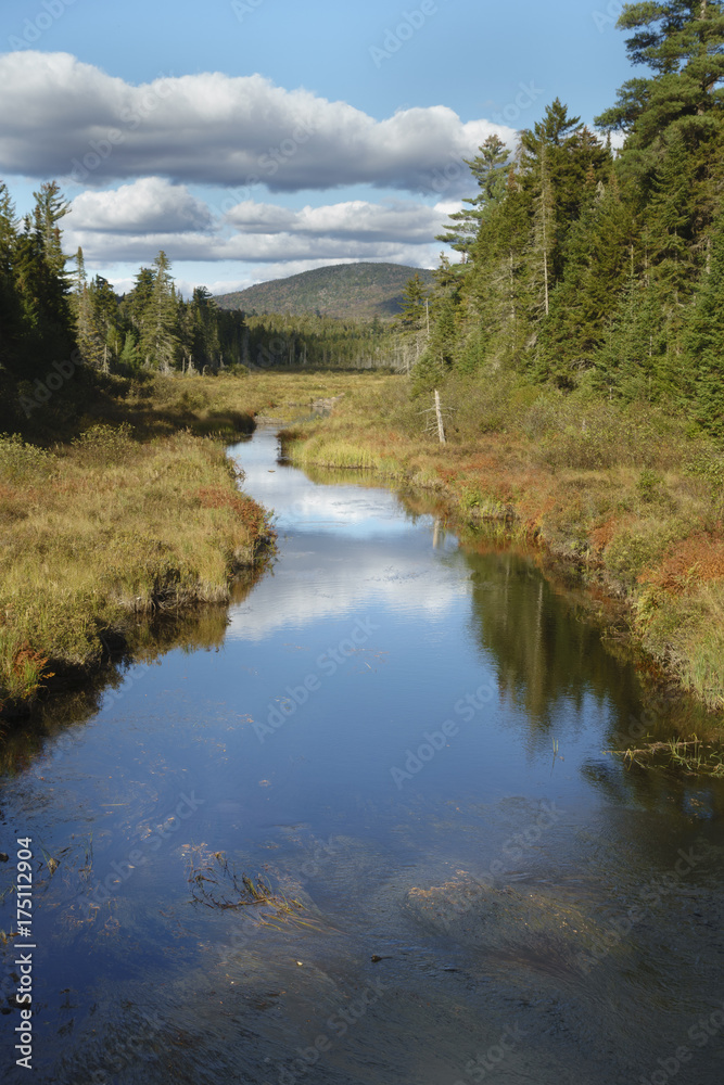 Trout Stream in the Adirondack Mountains of New York Trout Stream in the Adirondack Mountains of New York