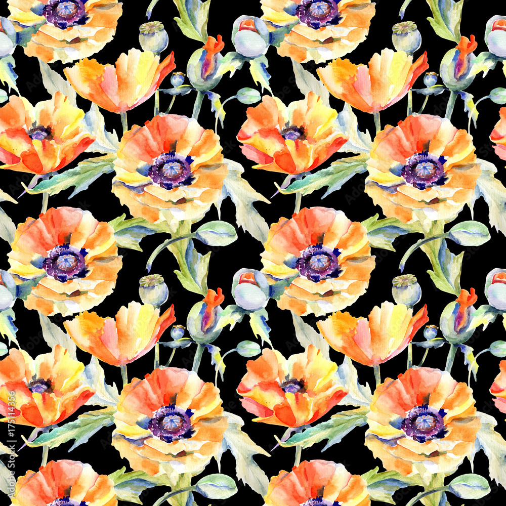 Wildflower poppy flower pattern in a watercolor style. Full name of the plant: poppy . Aquarelle wild flower for background, texture, wrapper pattern, frame or border.