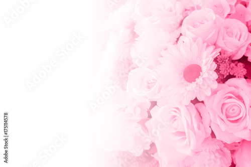light pink roses in soft and blur style for background