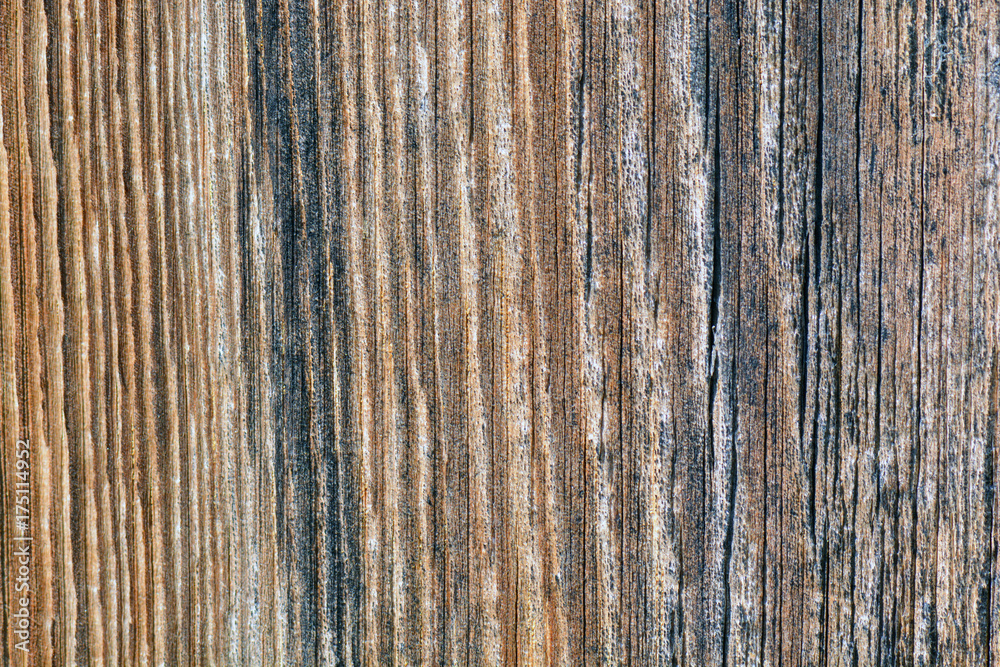 Fototapeta premium Wood texture. Wood texture for design and decoration