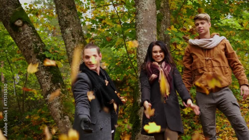 Friends having fun in autumn park Friends having fun in autumn park