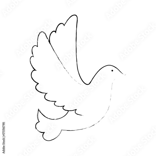 dove of peace flying