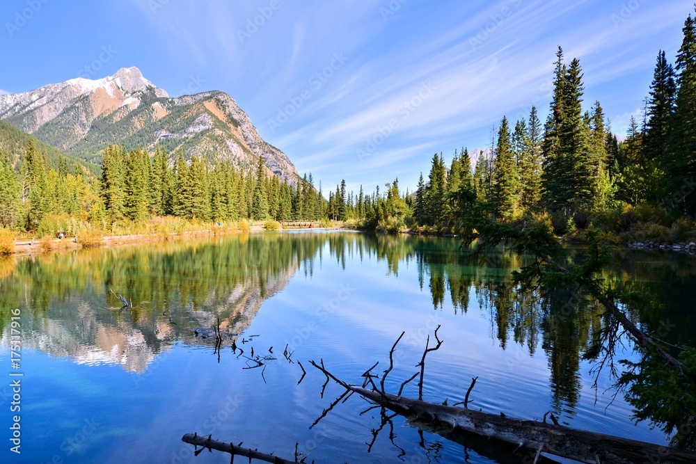 Peaceful lake in a mountain landscape with reflections, Kananaskis, Alberta, Canada