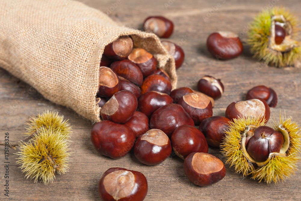 Chestnuts in jute sack on wooden background Chestnuts in jute sack on wooden background