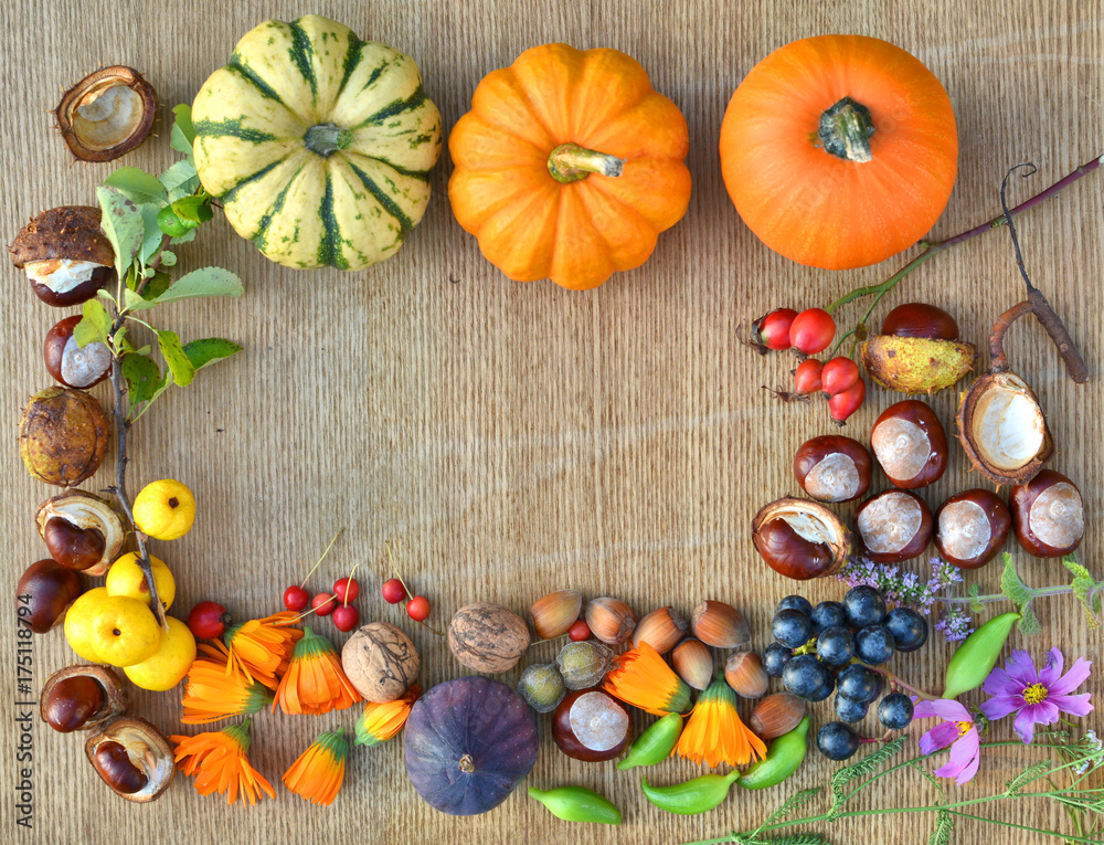 Autumn frame made of pumpkins, fruits and nuts Autumn frame made of pumpkins, fruits and nuts