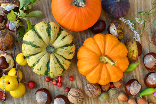 Autumn pumpkins, nuts and fruits