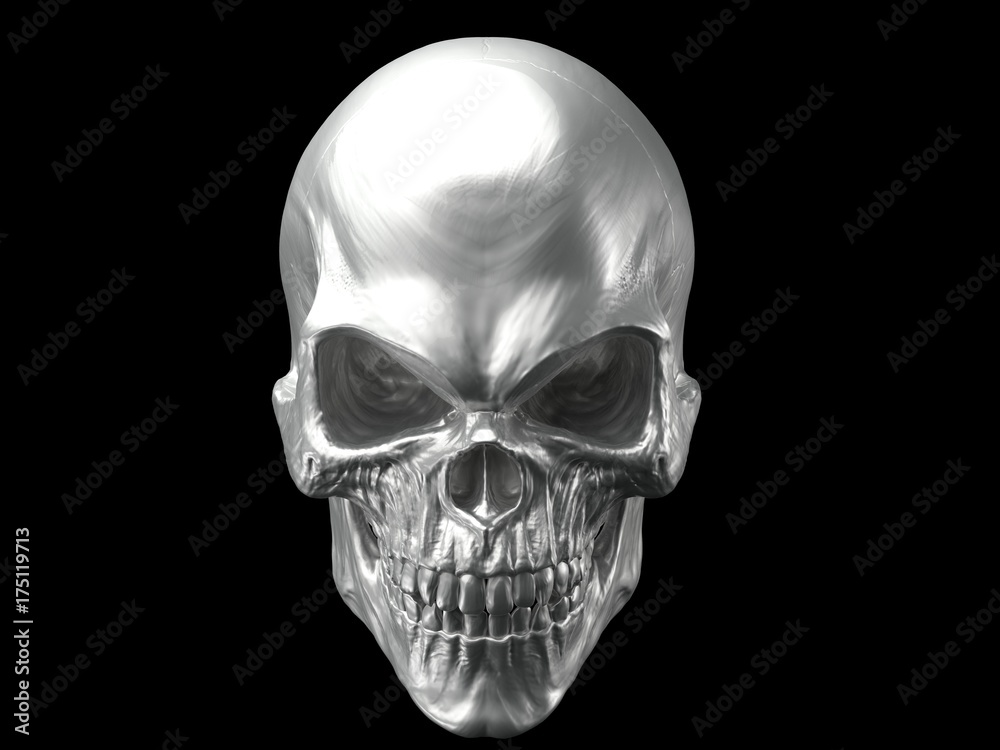 Obraz premium Metallic silver angry skull