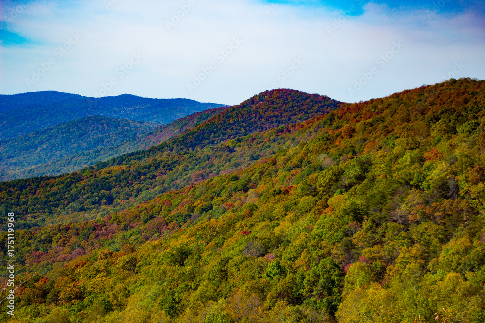 Fototapeta premium Fall Colors