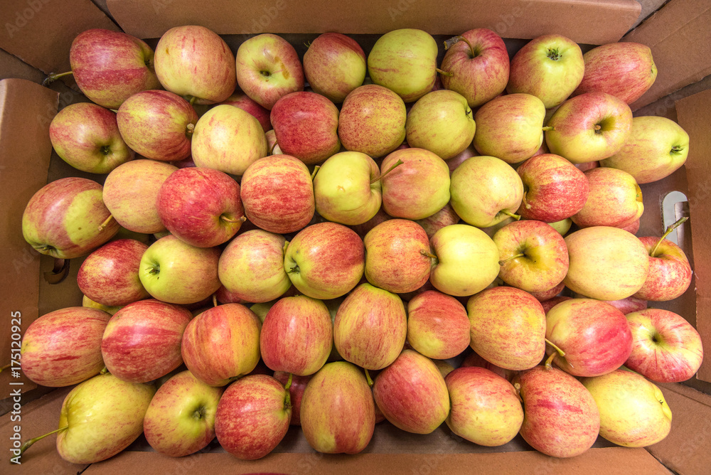 Beautiful appetizing fruit background with apples in a cardboard box Beautiful appetizing fruit background with apples in a cardboard box
