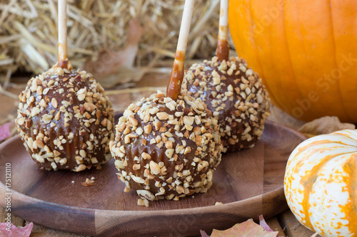 Closeup of Nutty Caramel Apples on a Wooden Plate