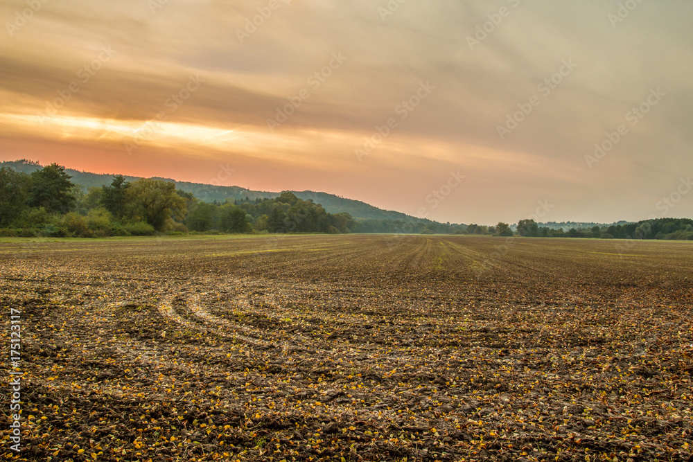 Cultivation of the autumn field with orange sky