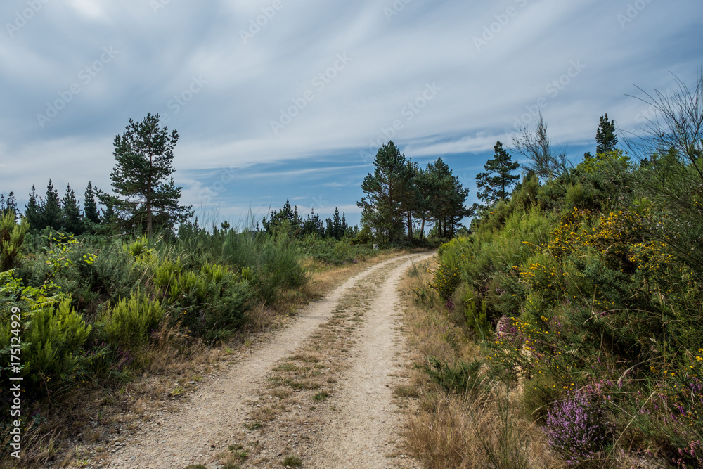 A day in summer on the oldest Camino de Santiago in Spain, the 