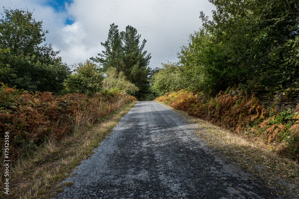 A day in summer on the oldest Camino de Santiago in Spain, the 