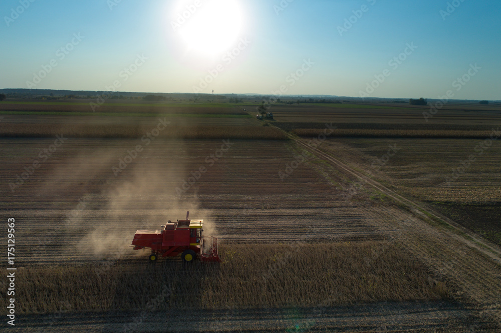 Fototapeta premium Soybean harvest shoot from drone