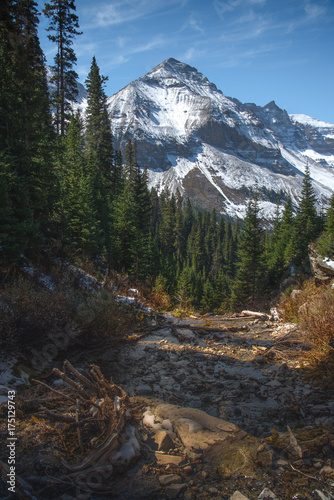 Hiking trail in Telluride with mountain , forest and blue sky