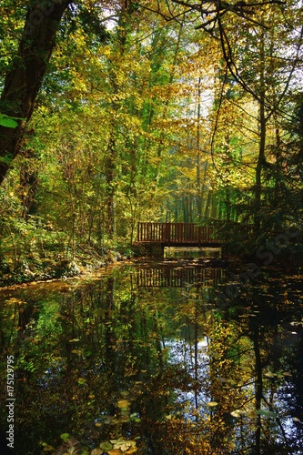Fototapeta Naklejka Na Ścianę i Meble -  Pont de bois au parc du château de Grouchy durant l'automne