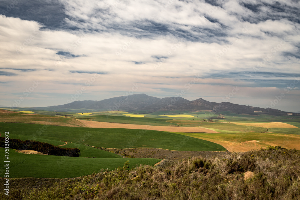 Mountains at Wester Cape, South Africa