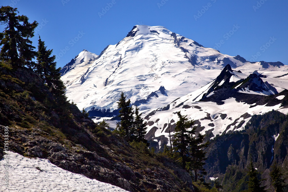 Mount Baker Snow Evergreens from Artist Point Washington State