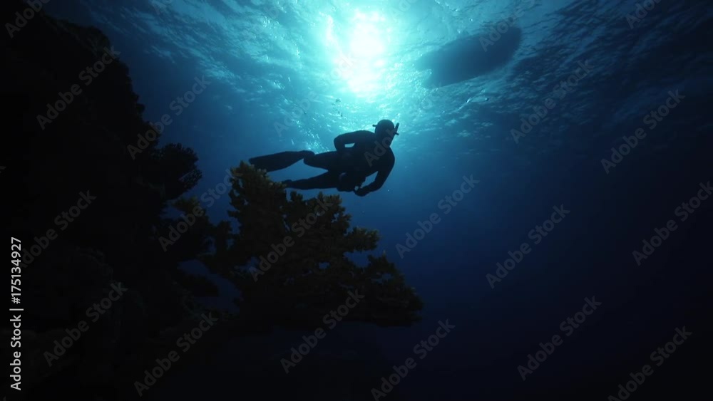 custom made wallpaper toronto digitalScuba diver swims deep under boat, POV