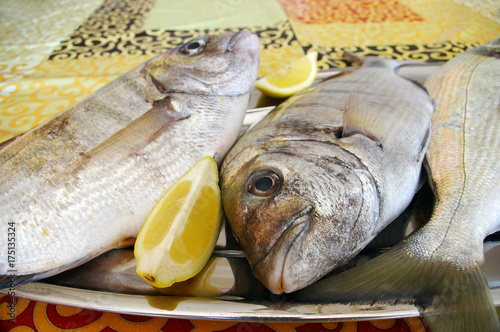 pescado fresco llamado dorada para asar photo