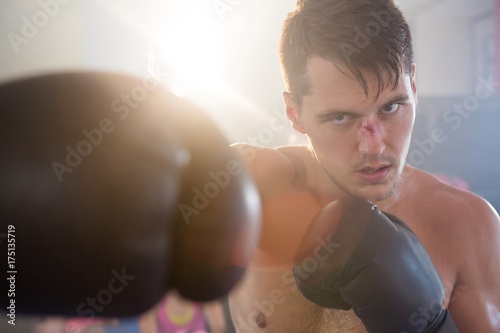 Young male boxer punching with bleeding nose photo